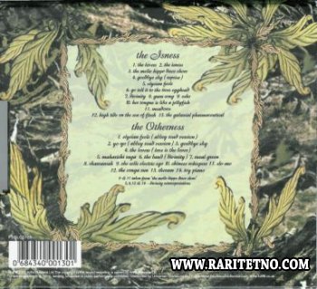 THE AMORPHOUS ANDROGYNOUS - The Isness & The Otherness 2004