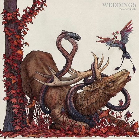 Weddings - Book of Spells 2022