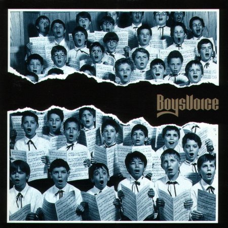 Boysvoice - Boysvoice 1990
