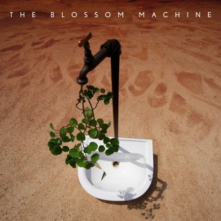 The Blossom Machine - The Blossom Machine 2024 (Lossless + MP3)