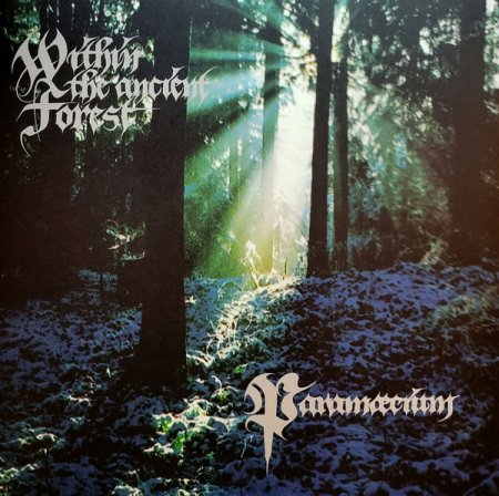 Paramaecium - Within the Ancient Forest 1996