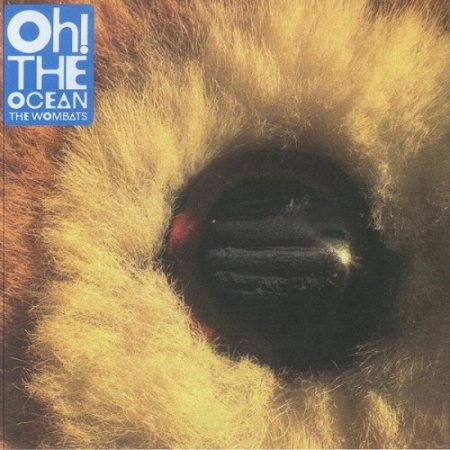 The Wombats - Oh! The Ocean 2025 (Lossless, Hi-Res + MP3)