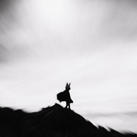Lord Of Confusion - The Weight Of Life 2026