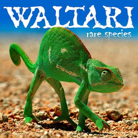 Waltari - Rare Species 2004