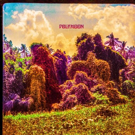 Polymoon - Chrysalis 2023
