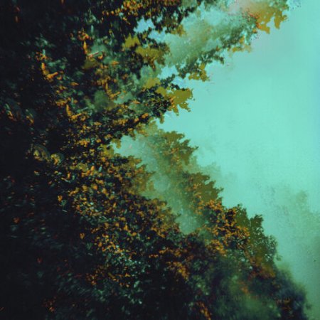 Polymoon - Caterpillars Of Creation 2020